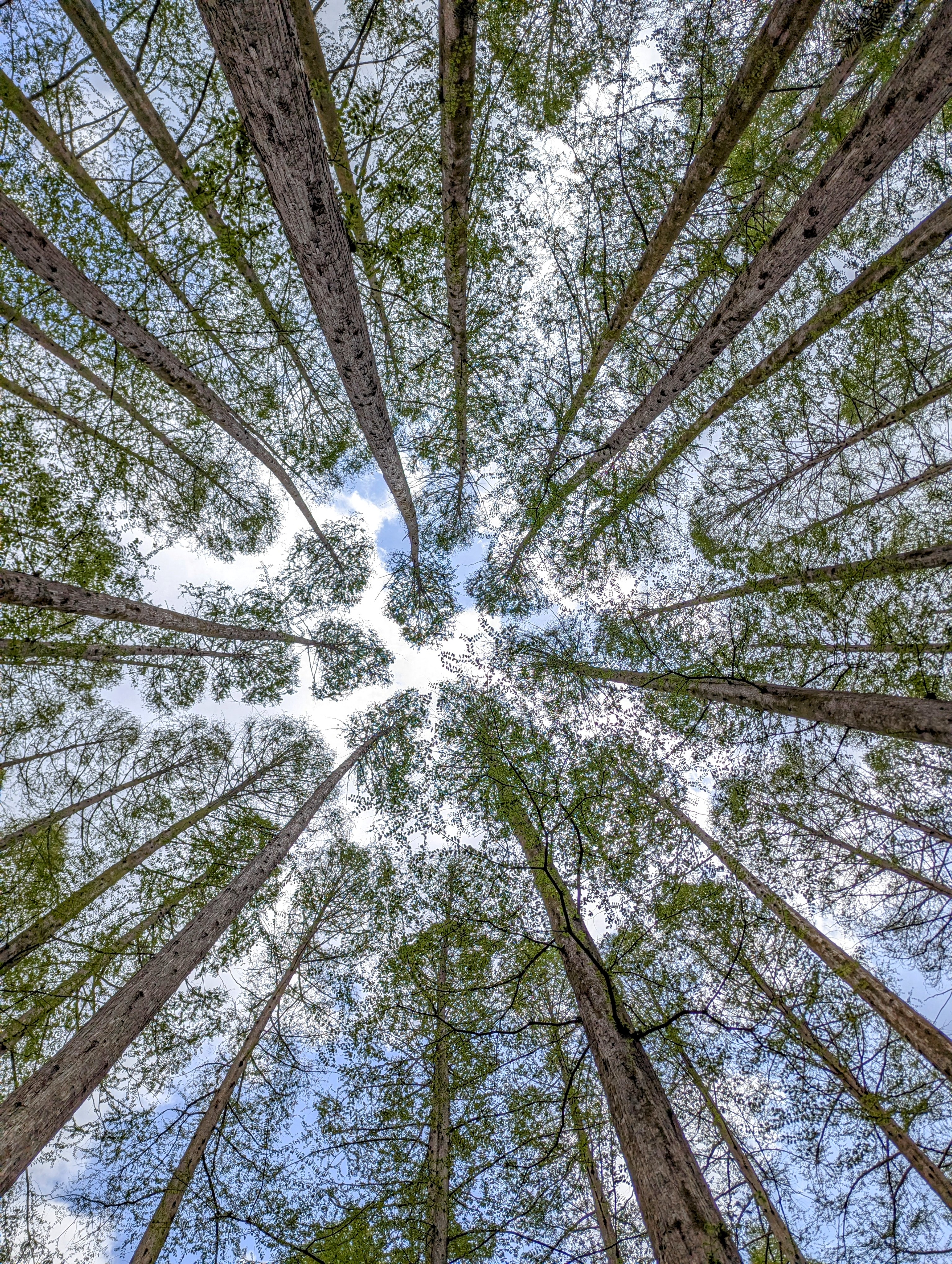 PXL_20250419_023632432~2